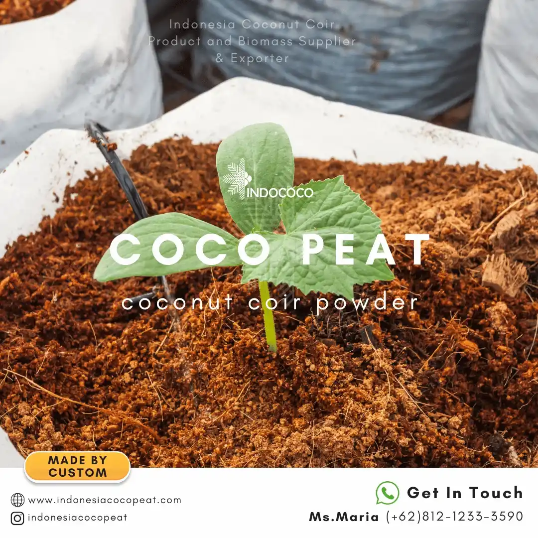 coco peat how to use