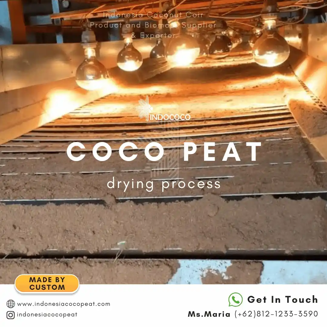 coco peat plant