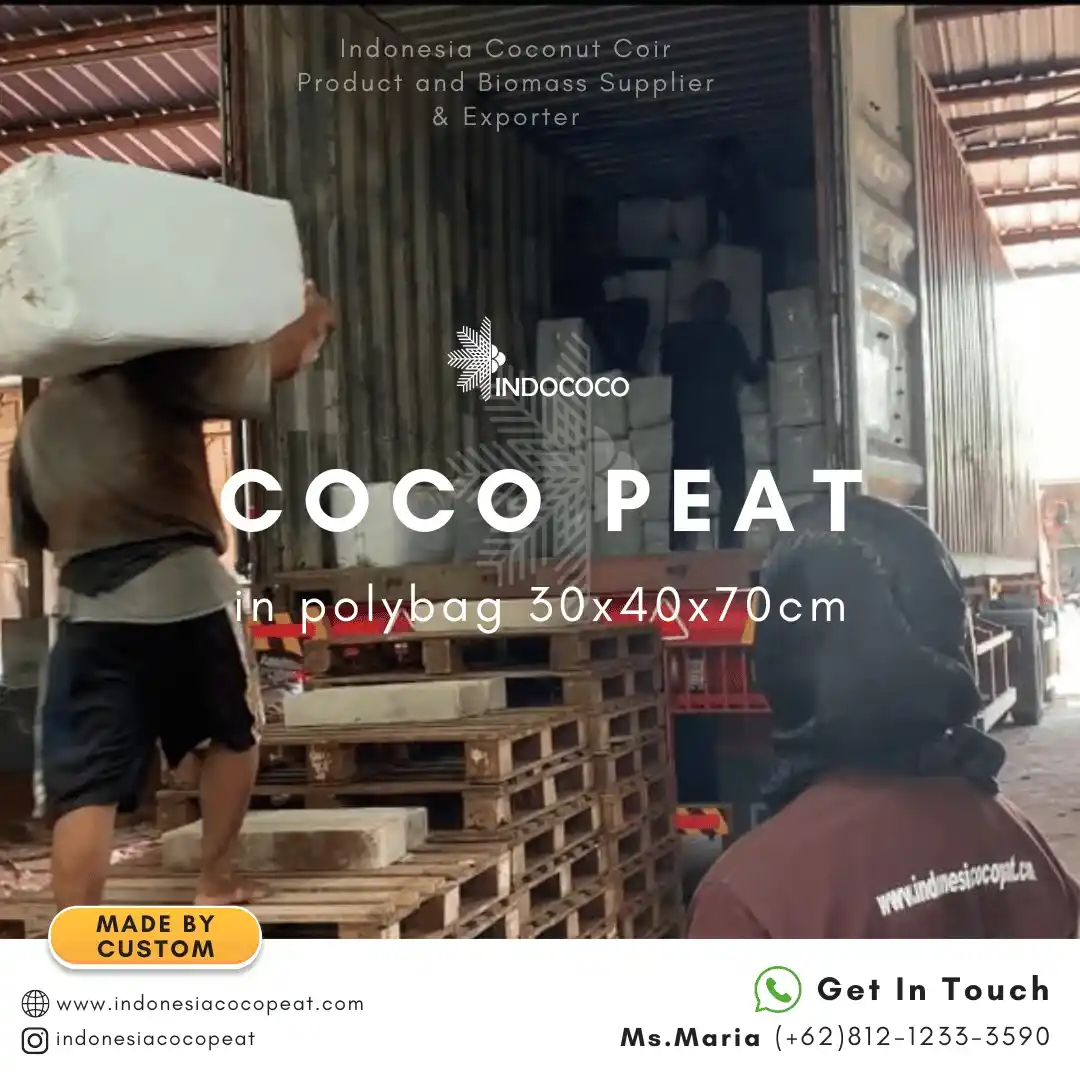 coco peat soil