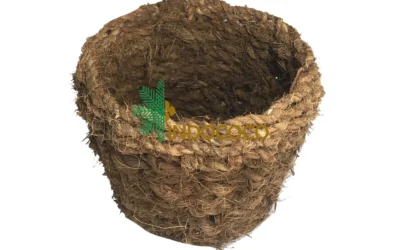 Coco Pot Benefits for Sustainable Gardening and Healthy Plant Growth