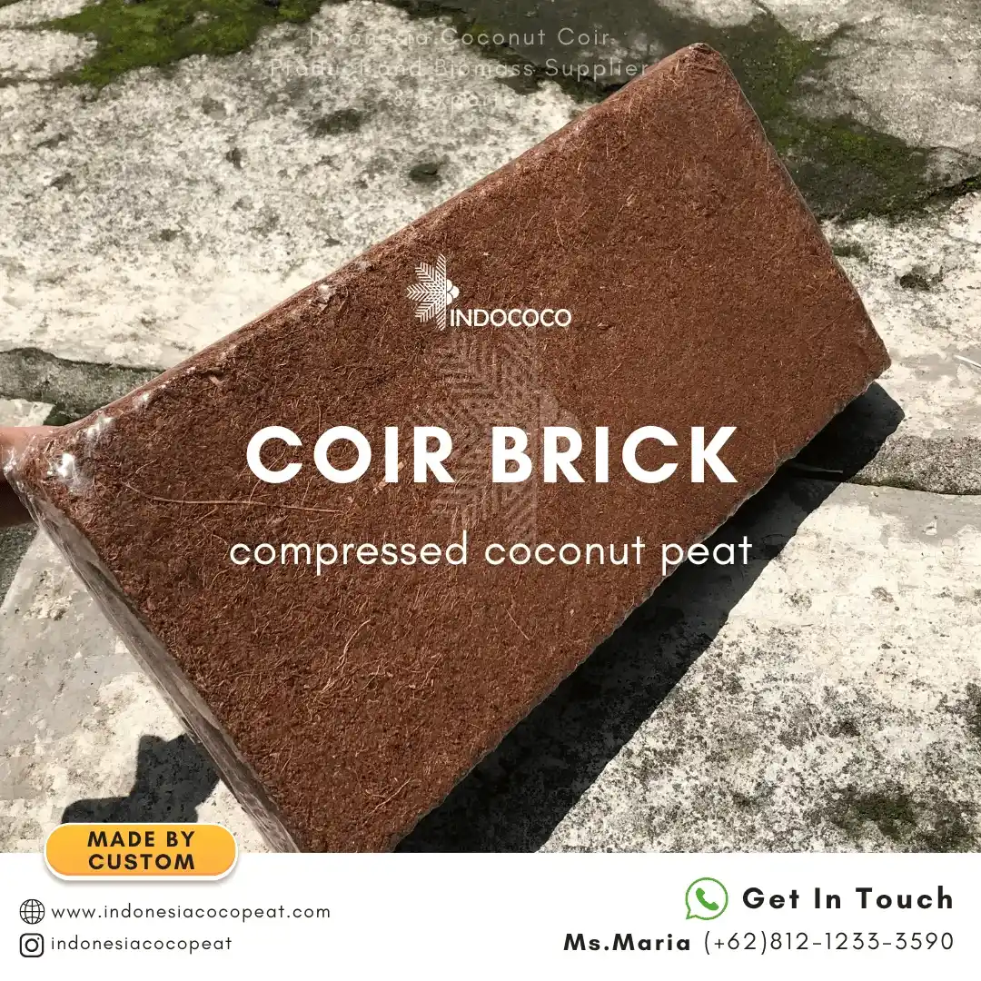 coconut coir brick near me