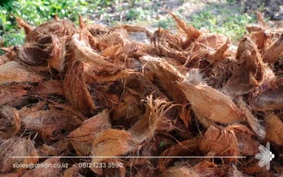 Coconut Husk for Sale: Natural Material for Agriculture and Industrial Applications
