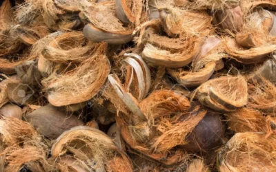 High Grade Coco Coir: Premium Growing Medium for Modern Cultivation