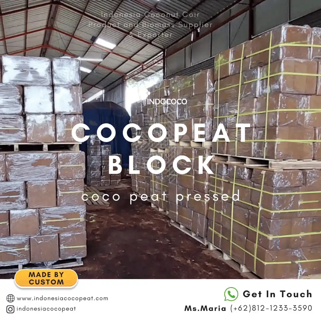 cocopeat block exporter