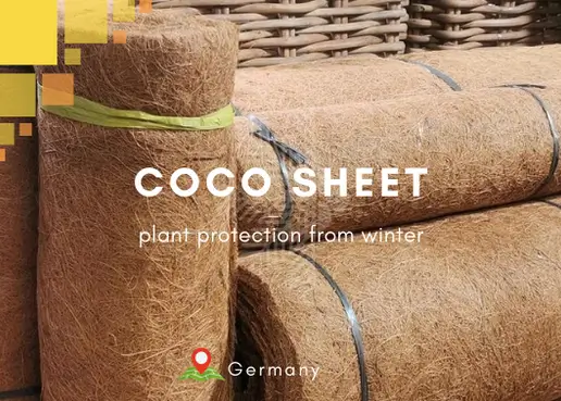 Coconut Coir Sheet