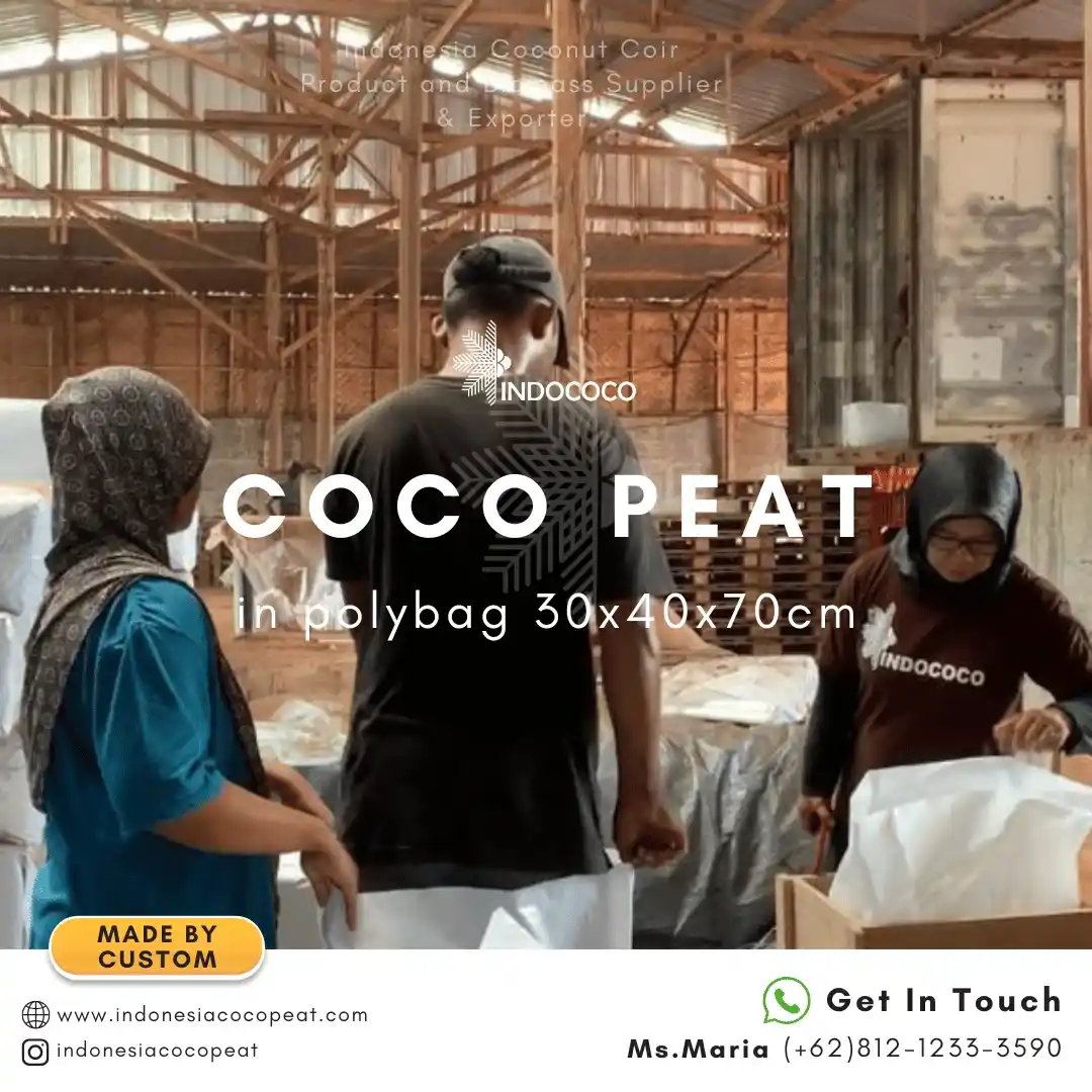decompressed cocopeat powder