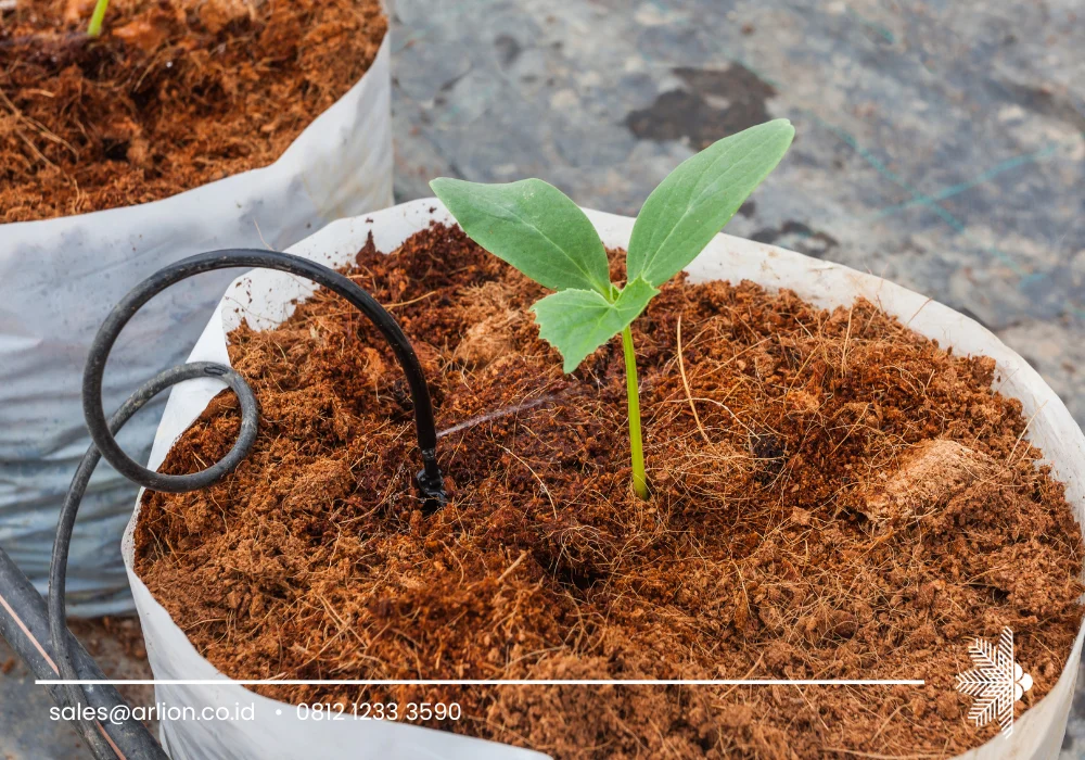 Export Cocopeat Worldwide