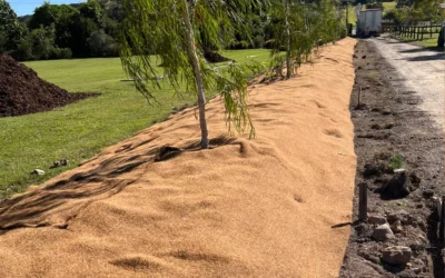 Coconut Fiber Erosion Control Blanket for Sustainable Land Protection