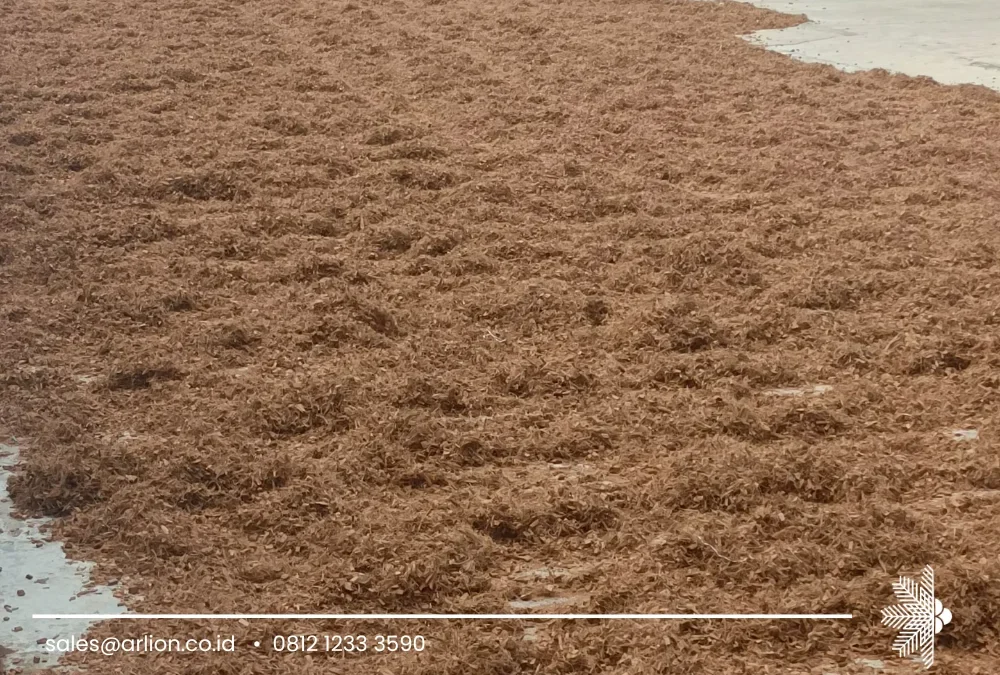 Export Cocopeat Worldwide: Delivering Sustainable Growing Media Across Global Markets