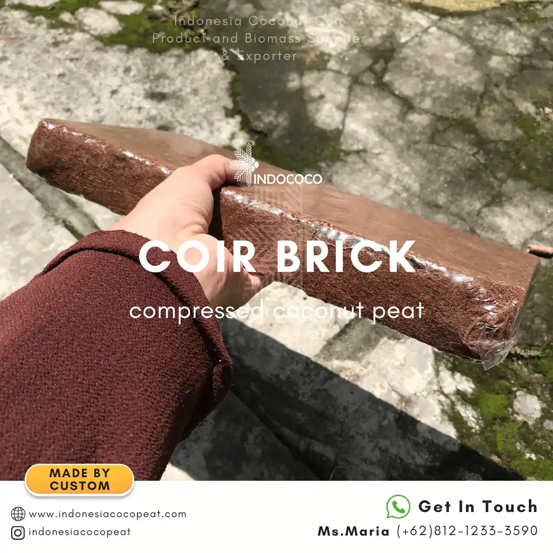 organic coconut coir bricks for plants