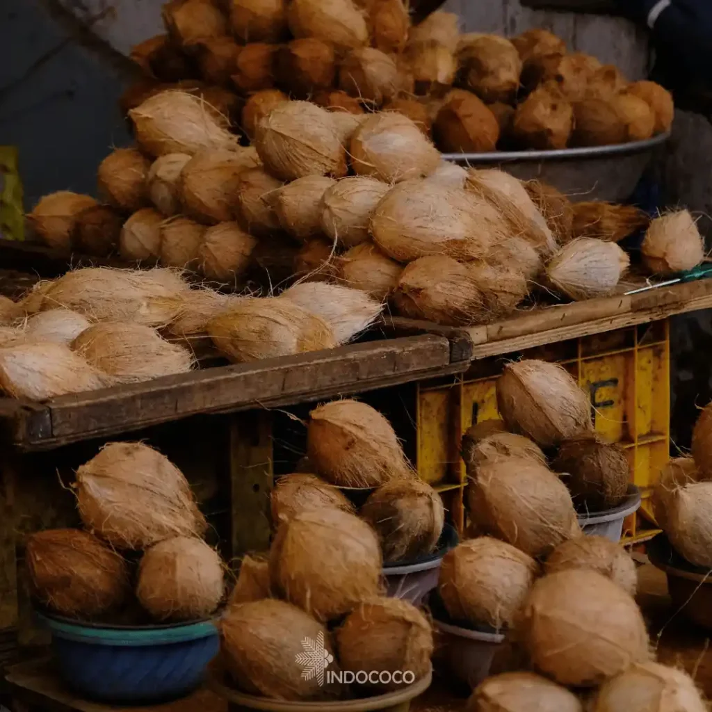 uses of coconut shell powder