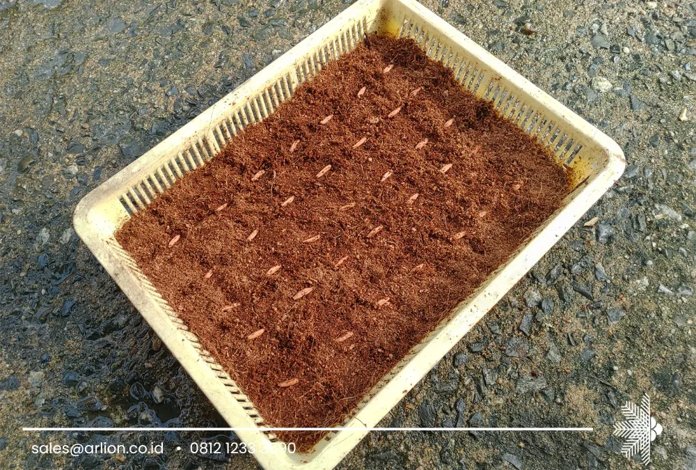 Low EC Cocopeat Supplier