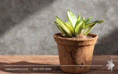 Cocopeat Supplier for Premium Growing Media and Global Agriculture