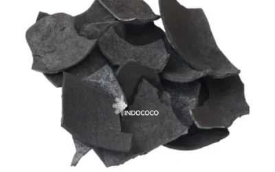 Coconut Shell Charcoal Supplier for Premium Quality and Sustainable Energy