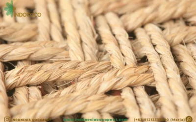 Coir Twine Supplier for Sustainable Agricultural and Industrial Solutions