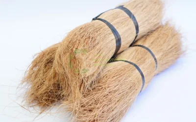 Coconut Fiber Exporter for Global Natural Fiber Supply