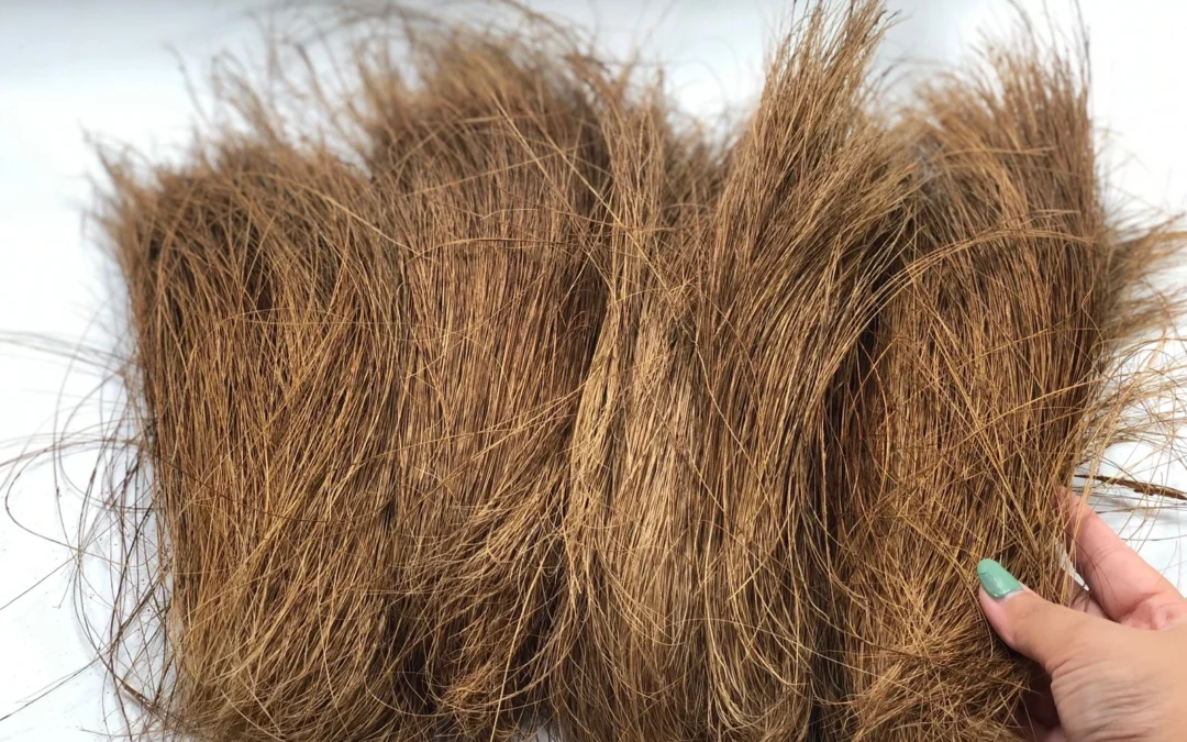 Coir Fiber Indonesia