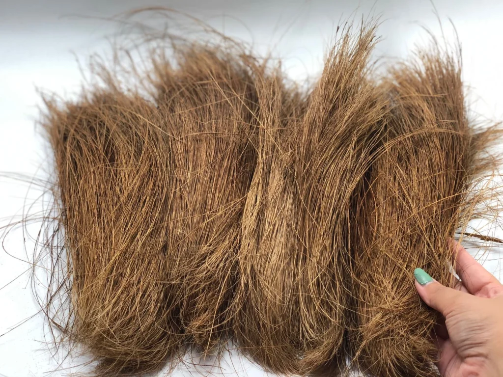 Coconut Fiber Exporter