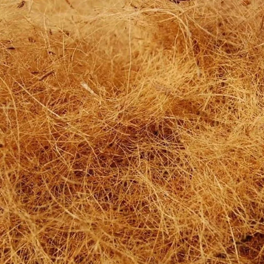 Coconut Fiber Supplier
