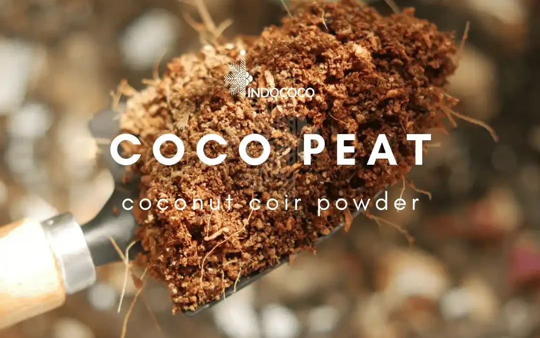 Cocopeat Manufacturer