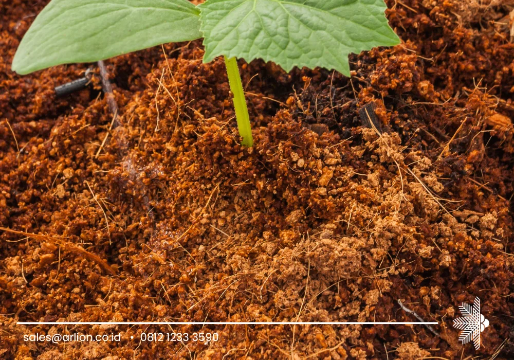 Cocopeat Manufacturer