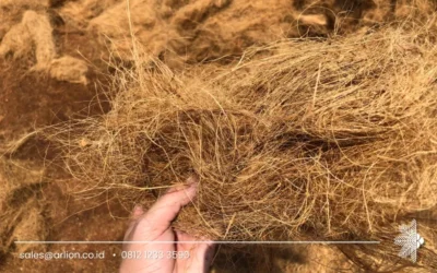Benefits of Coconut Coir for Sustainable Agriculture and Industry