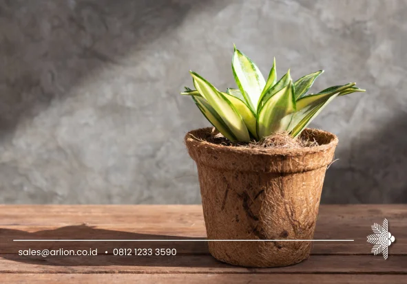 Benefits of Coconut Coir