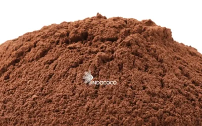 Uses of Coconut Shell Powder in Modern Sustainable Industries