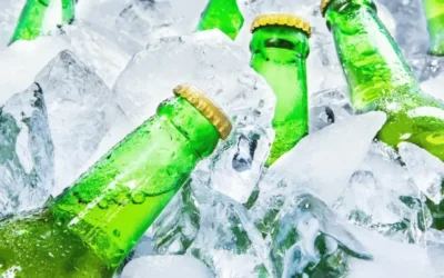 Coconut Insulation Cooler for Sustainable Temperature Control