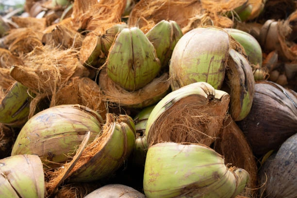 Coconut Husk Mulch