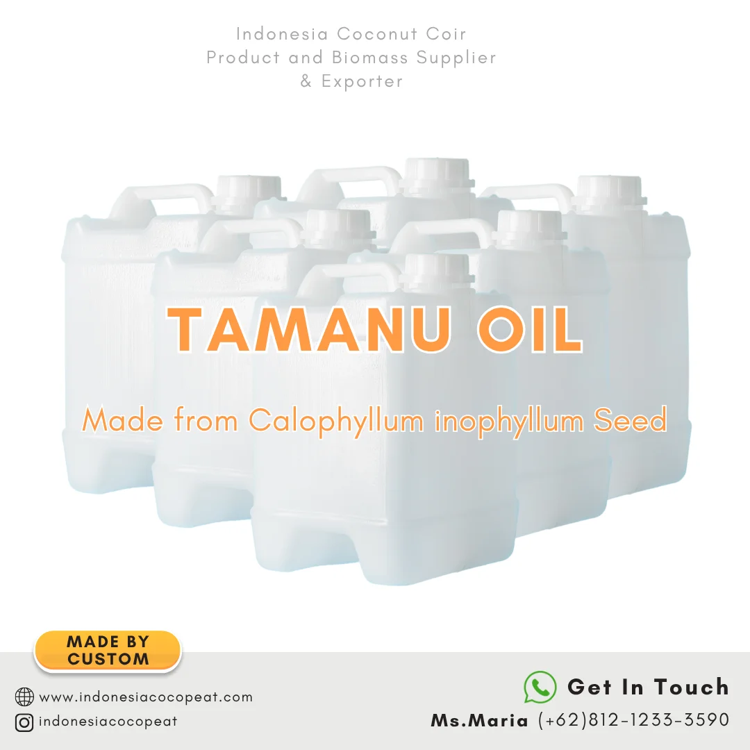 tamanu oil