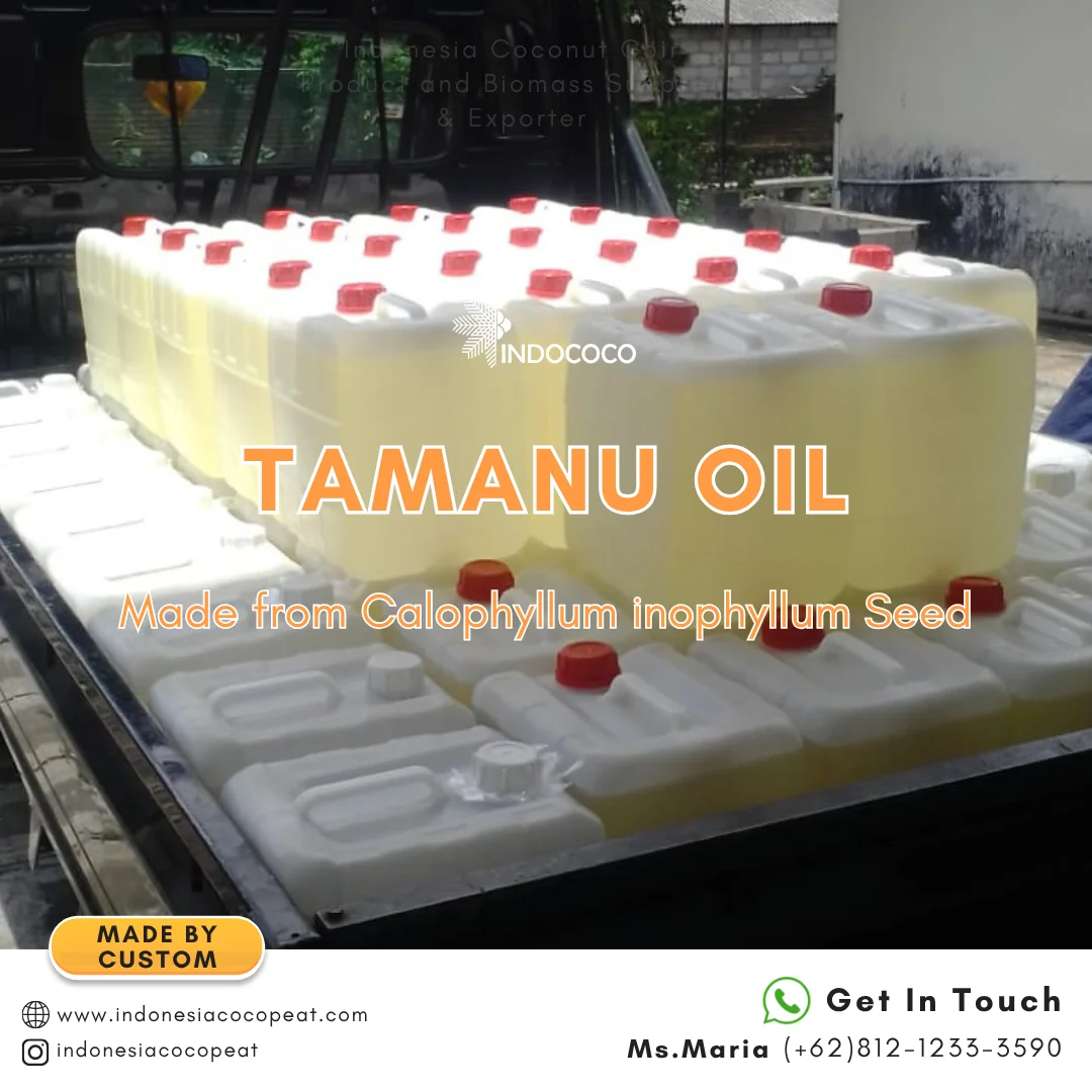 tamanu oil benefit