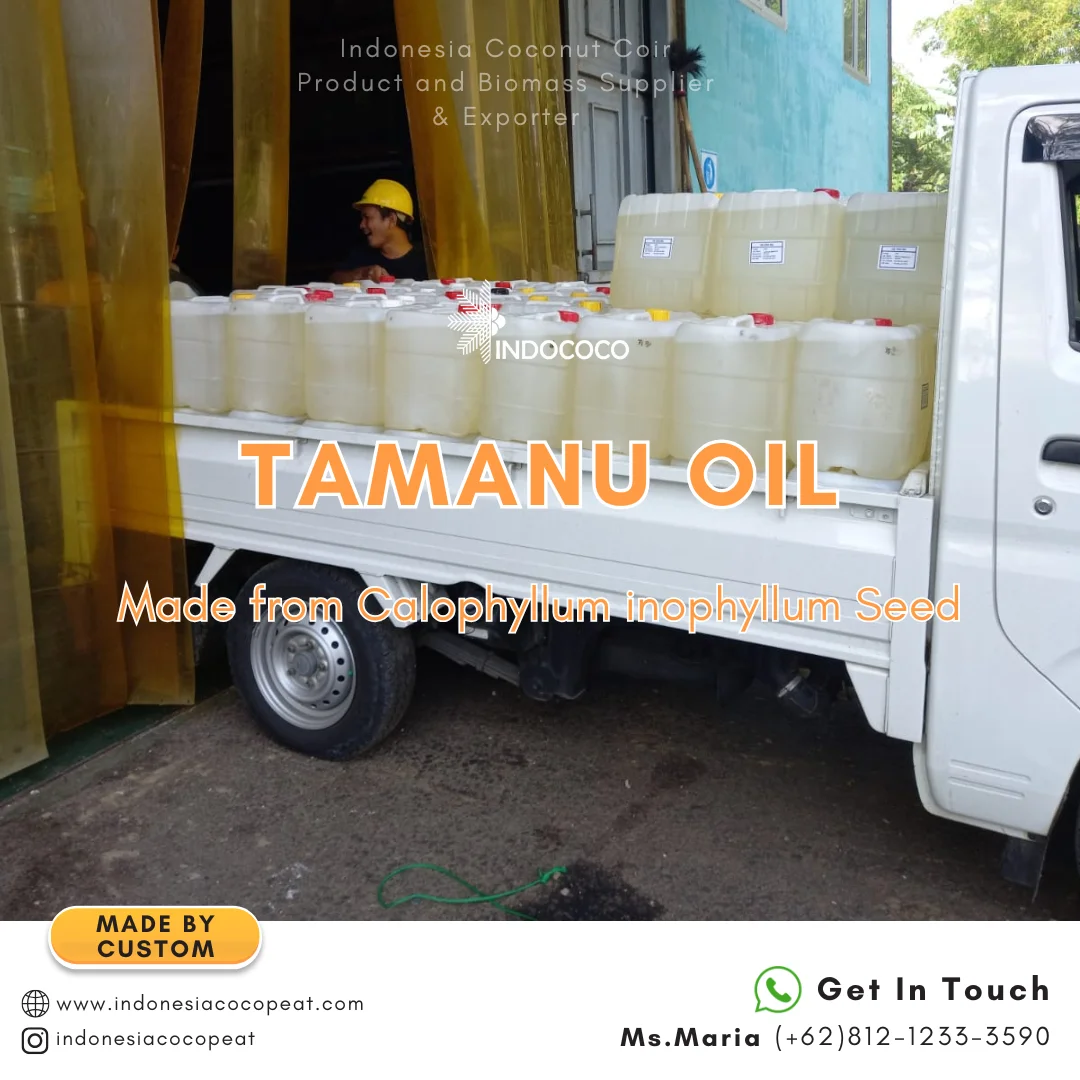 tamanu oil on hair
