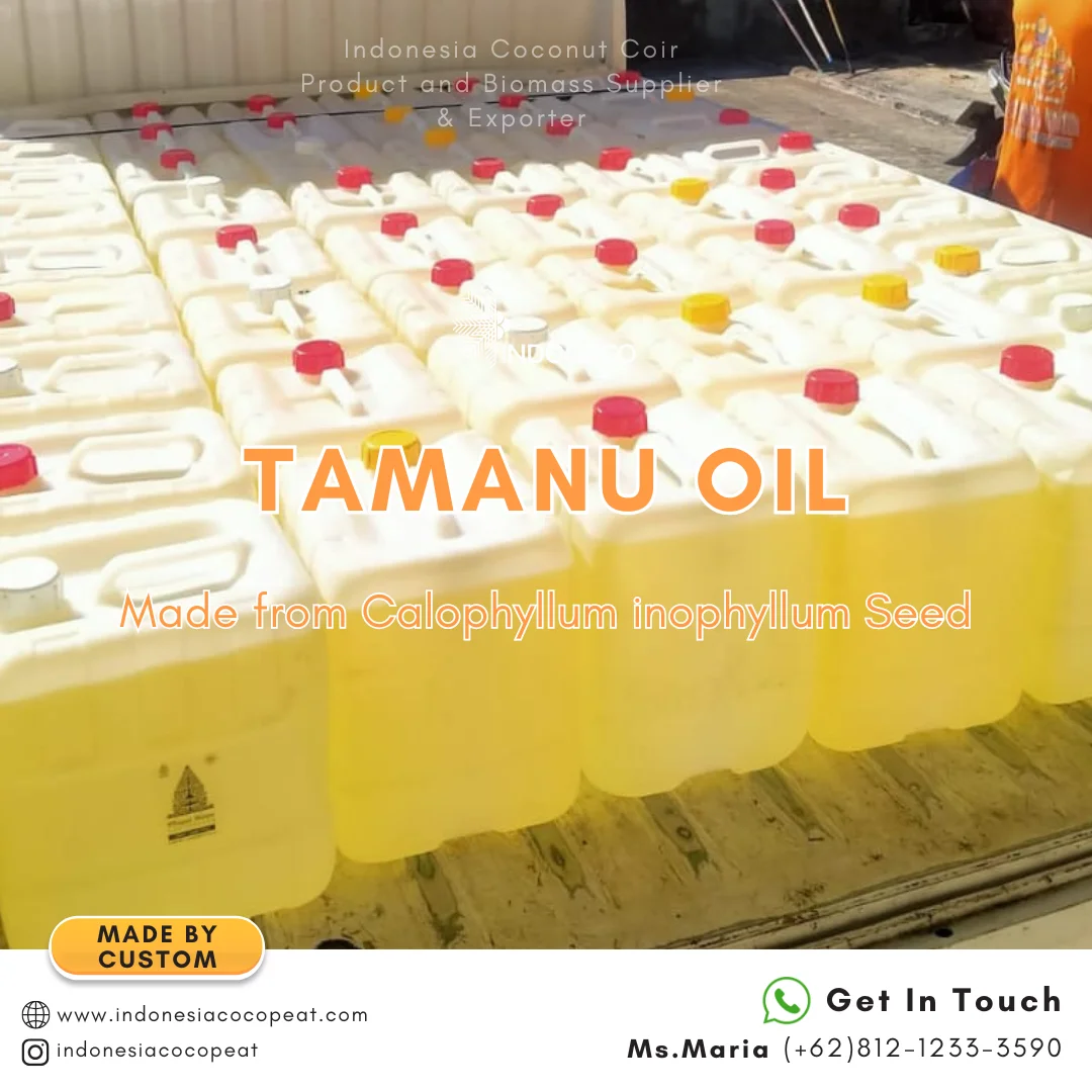 tamanu oil on skin