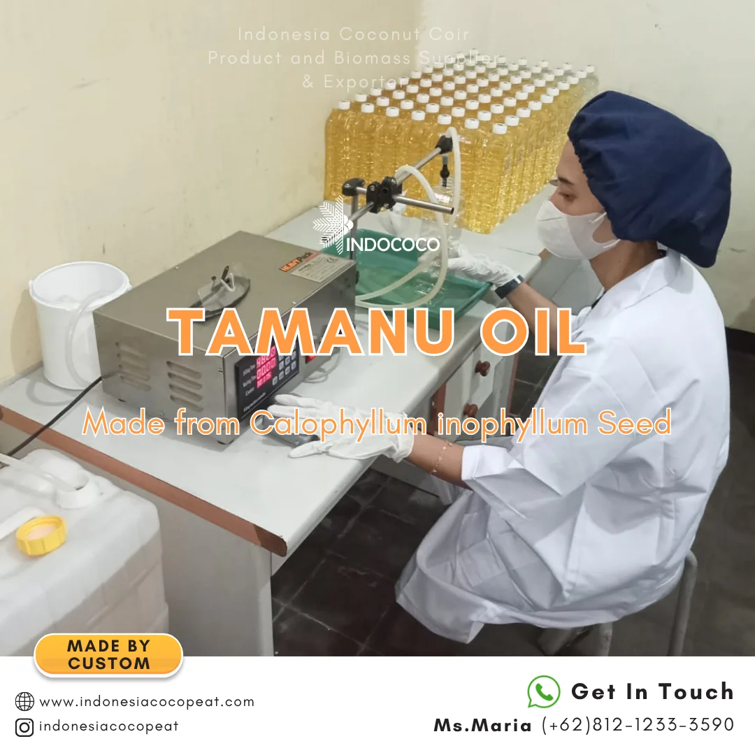 tamanu oil organic