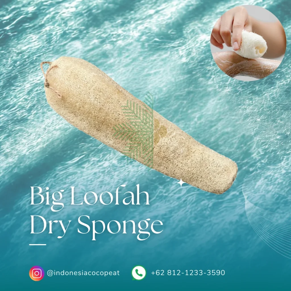 Loofah Sponge