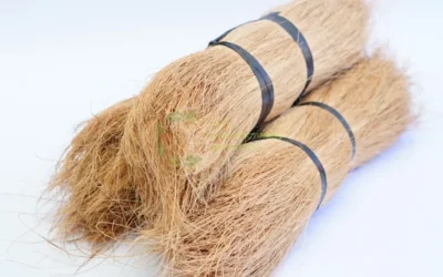 Coco Bristle for Sale: A Complete Guide to Quality Natural Fiber Products