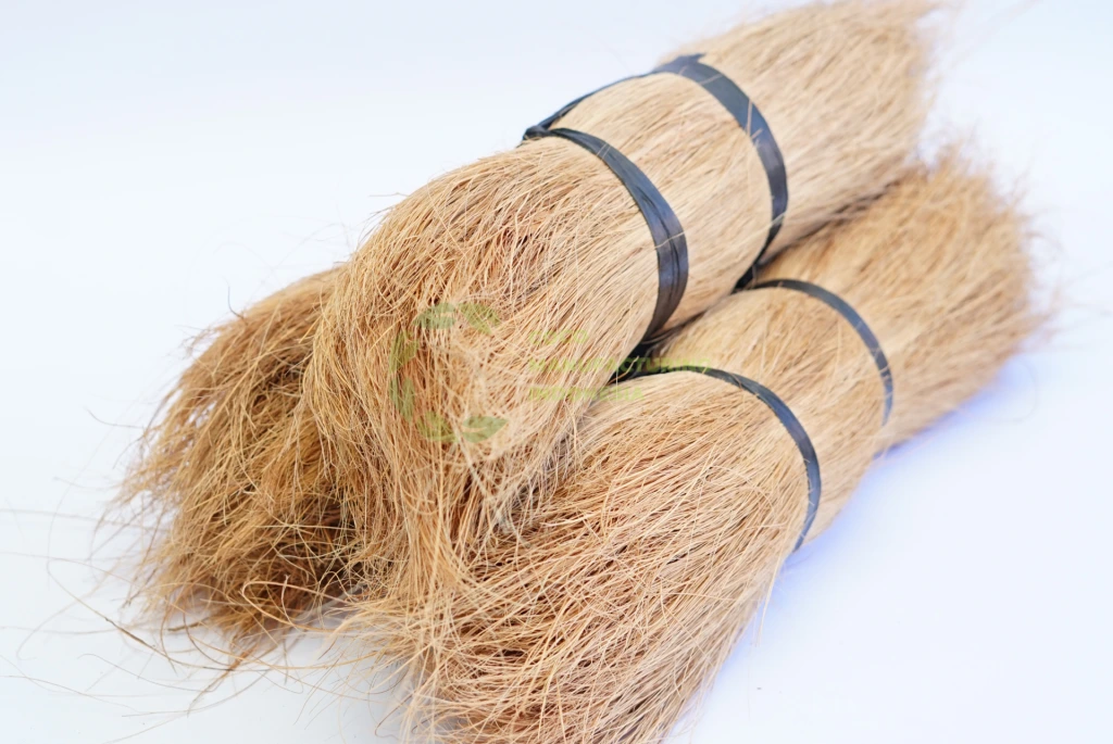Coco Bristle for Sale
