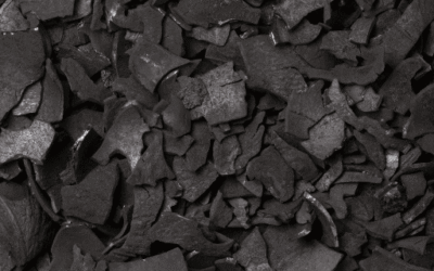 Coconut Shell Charcoal for Sale: A Complete Buyer’s Guide