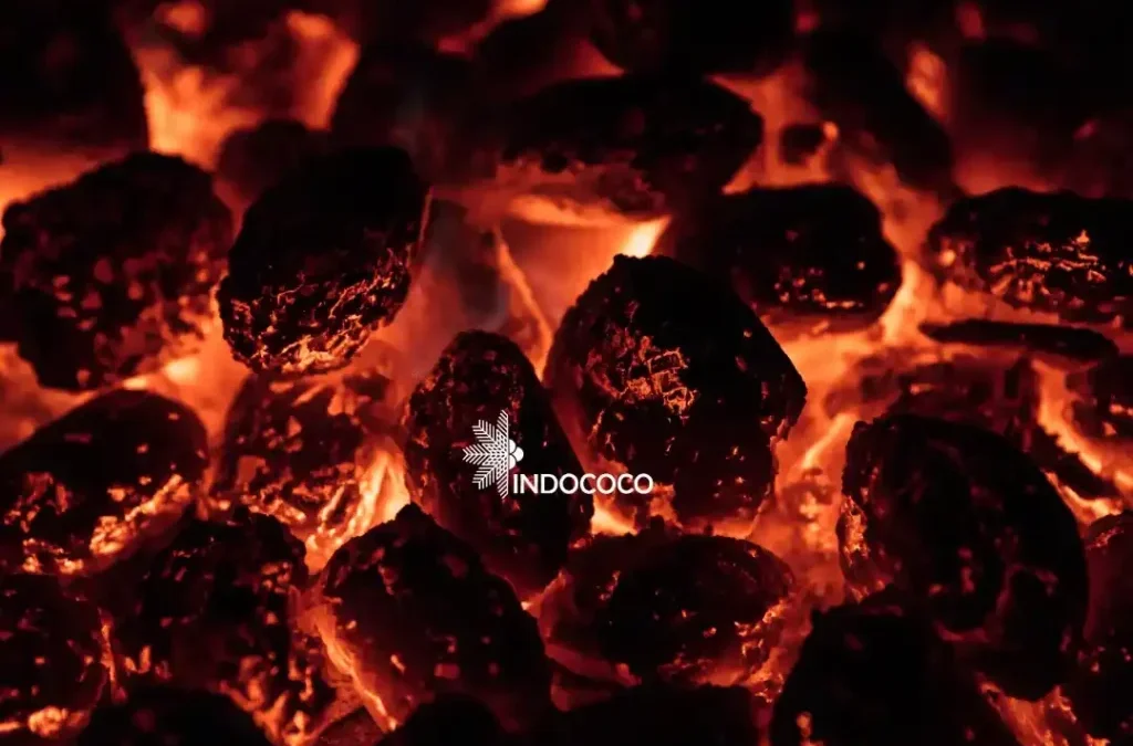 Halaban Wood Charcoal