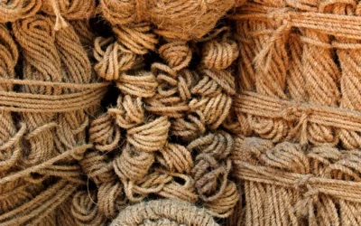 Home Decor natural for a Warm and Sustainable Interior