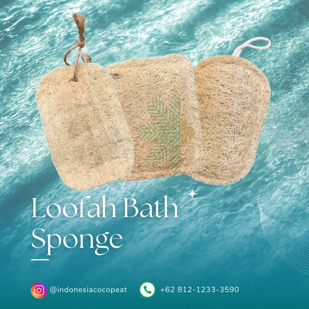 Loofah Sponge