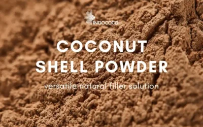 Coconut Shell Powder for Sale: A Sustainable Material for Industrial Applications