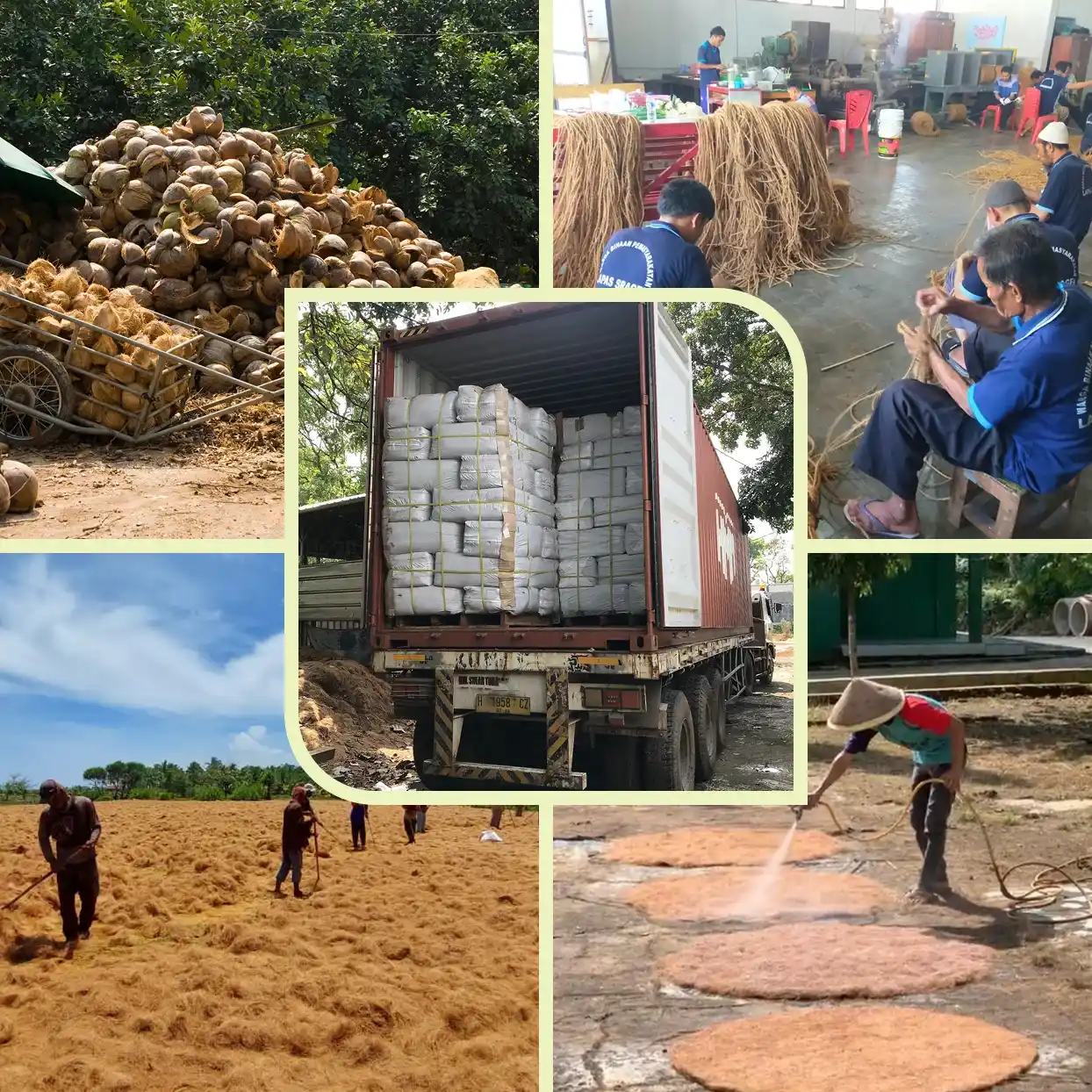 coconut waste products