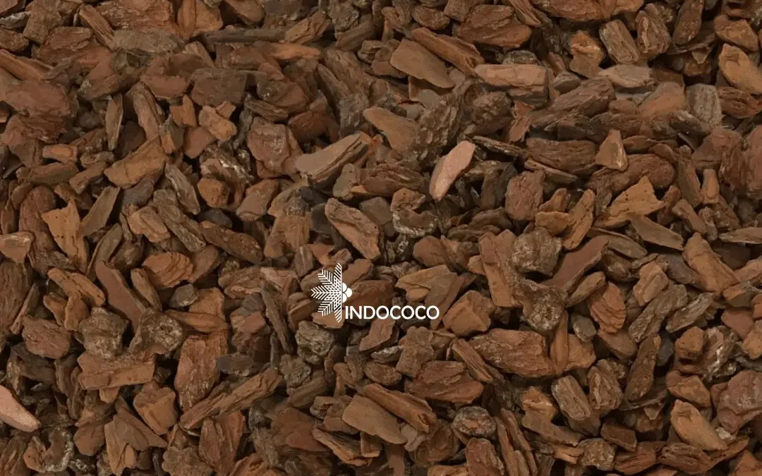pine bark